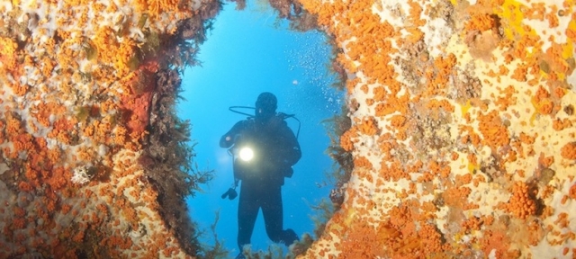  Zona protegida de buceo Capo Carbonara 
